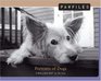 Pawfiles Portraits of Dogs A Bark and Smile Book