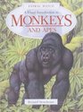 Visual Introduction to Monkeys and Apes