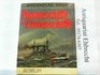Panzerschiffe und Linienschiffe 18601910