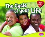 Cycle of Your Life (Health and Your Body)