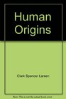 Human Origins The Fossil Record