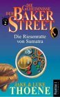 Die Geheimnisse der Baker Street Bd 2 Die Riesenratte von Sumatra