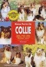Manual practico del Collie / Practical Manual of Collie