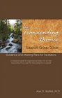 The Transcending Divorce Support Group Guide Guidance and Meeting Plans for Facilitators