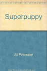 Superpuppy How to choose raise and train the best possible dog for you