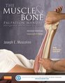 The Muscle and Bone Palpation Manual with Trigger Points, Referral Patterns and Stretching, 2e