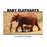 Baby Elephants Mini Wall Calendar 2017 16 Month Calendar