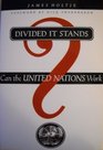Divided It Stands Can the United Nations Work