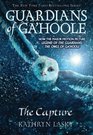 The Capture (Guardians of Ga'hoole,  Bk 1)
