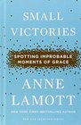 Small Victories Spotting Improbable Moments of Grace