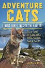 Adventure Cats: Living Nine Lives to the Fullest