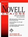 The Novell CNA/CNE Study Guide 2/e