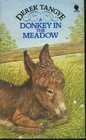 A Donkey in the Meadow