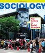 Sociology Pop Culture to Social Structure