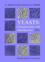 Yeasts Characteristics and Identification