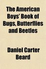 The American Boys' Book of Bugs Butterflies and Beetles