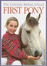 First Pony (The Usborne Riding School)