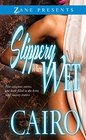 Slippery When Wet A Novel