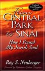 From Central Park to Sinai How I Found My Jewish Soul