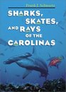 Sharks Skates and Rays of the Carolinas