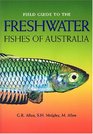 Field Guide to Freshwater Fishes of Australia