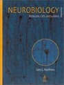 Neurobiology Molecules Cells and Systems