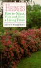 Hedges How to Select Plant and Grow a Living Fence