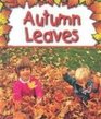 Autumn Leaves