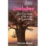 Visitor's Guide to Zimbabwe  How to Get There What to See Where to Stay