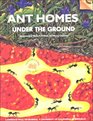 Ant Homes Under the Ground