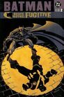 Batman Bruce Wayne Fugitive Vol 2