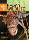 Pocket Guide to Hawaii's Wildlife