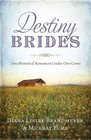 Destiny Brides Two Historical Romances Under One Cover