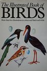 Illustrated Book of Birds
