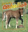 Que Es Un Caballo/ What Is a Horse