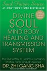 Divine Soul Mind Body Healing and Transmission System The Divine Way to Heal You Humanity Mother Earth and All Universes