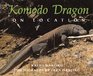 Komodo Dragon On Location