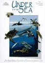 Under the Sea One Book Makes Hundreds of Pictures of Undersea Life