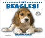 I Like Beagles