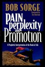 Pain Perplexity and Promotion A Prophetic Interpretation of the Book of Job