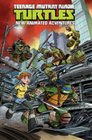 Teenage Mutant Ninja Turtles: New Animated Adventures Volume 1