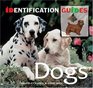 Dogs (Identification Guides) (Identification Guides)