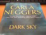 Dark Sky (Cold Ridge/U.S. Marshalls, Bk 4) (Large Print)