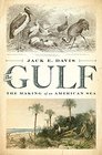 The Gulf: The Making of An American Sea