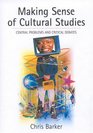 Making Sense of Cultural Studies Central Problems and Critical Debates