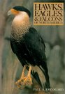 Hawks Eagles and Falcons of North America Biology and Natural History