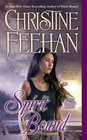 Spirit Bound (Sea Haven, Bk 2)