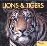 Lions and Tigers