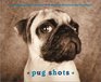 Pug Shots Deluxe Notecards