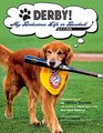 DERBY  My Bodacious Life in Baseball by HR Derby Bat Dog of the Trenton Thunder